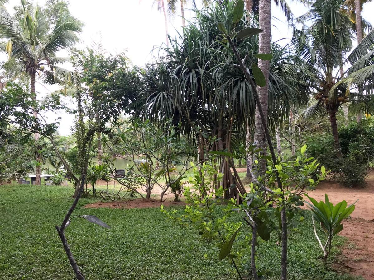 O2 Villas - Weligama Esterno foto